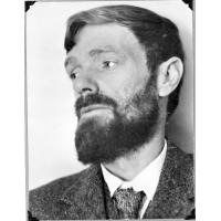 D. H. Lawrence